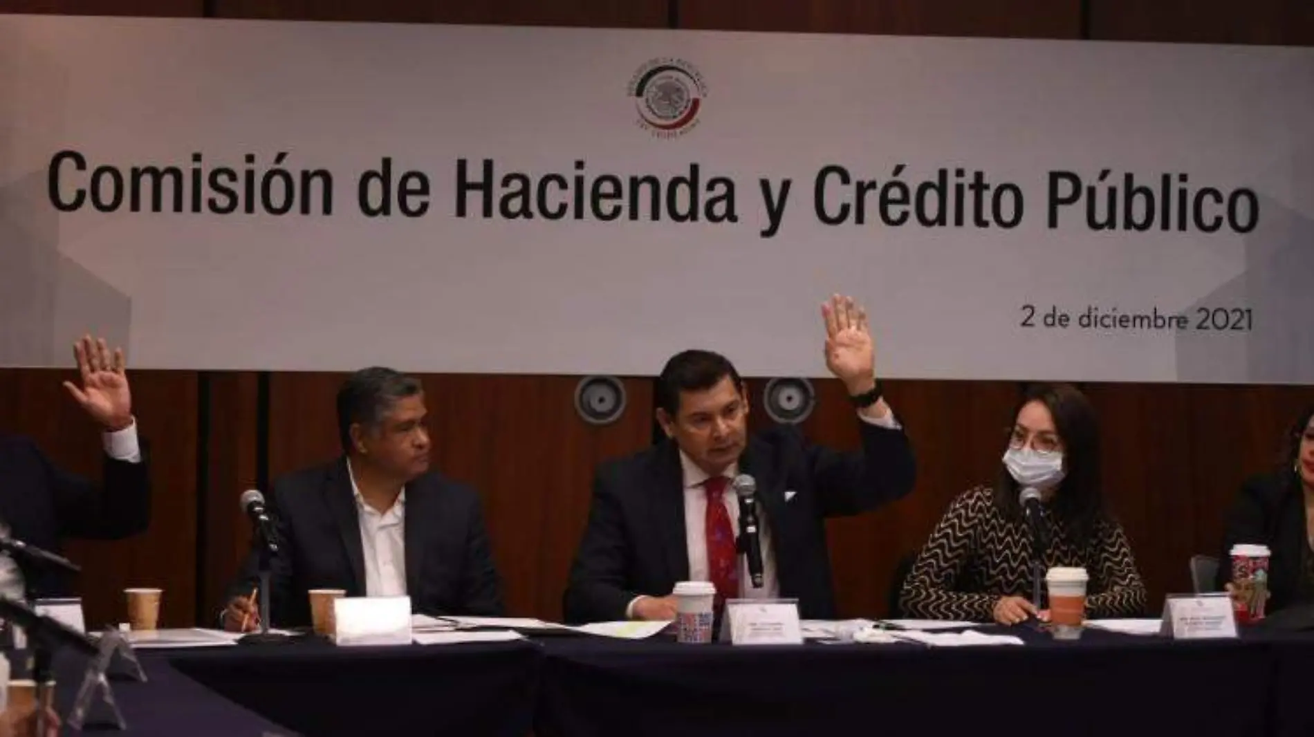 Votación - Banco de México - proxima Gobernadora Victoria Ceja